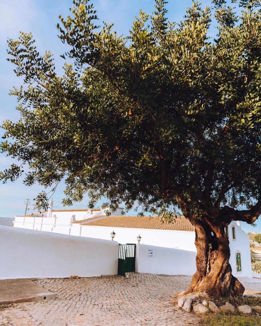 Cerca Velha - Country House Albufeira Exteriér fotografie